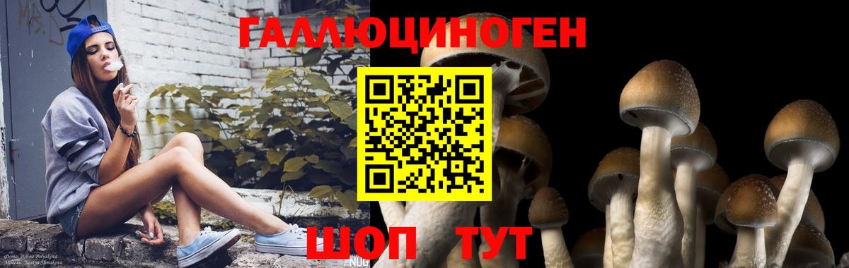 Ковров  Псилоцибиновые грибы Magic Shrooms  Вход с VPN 